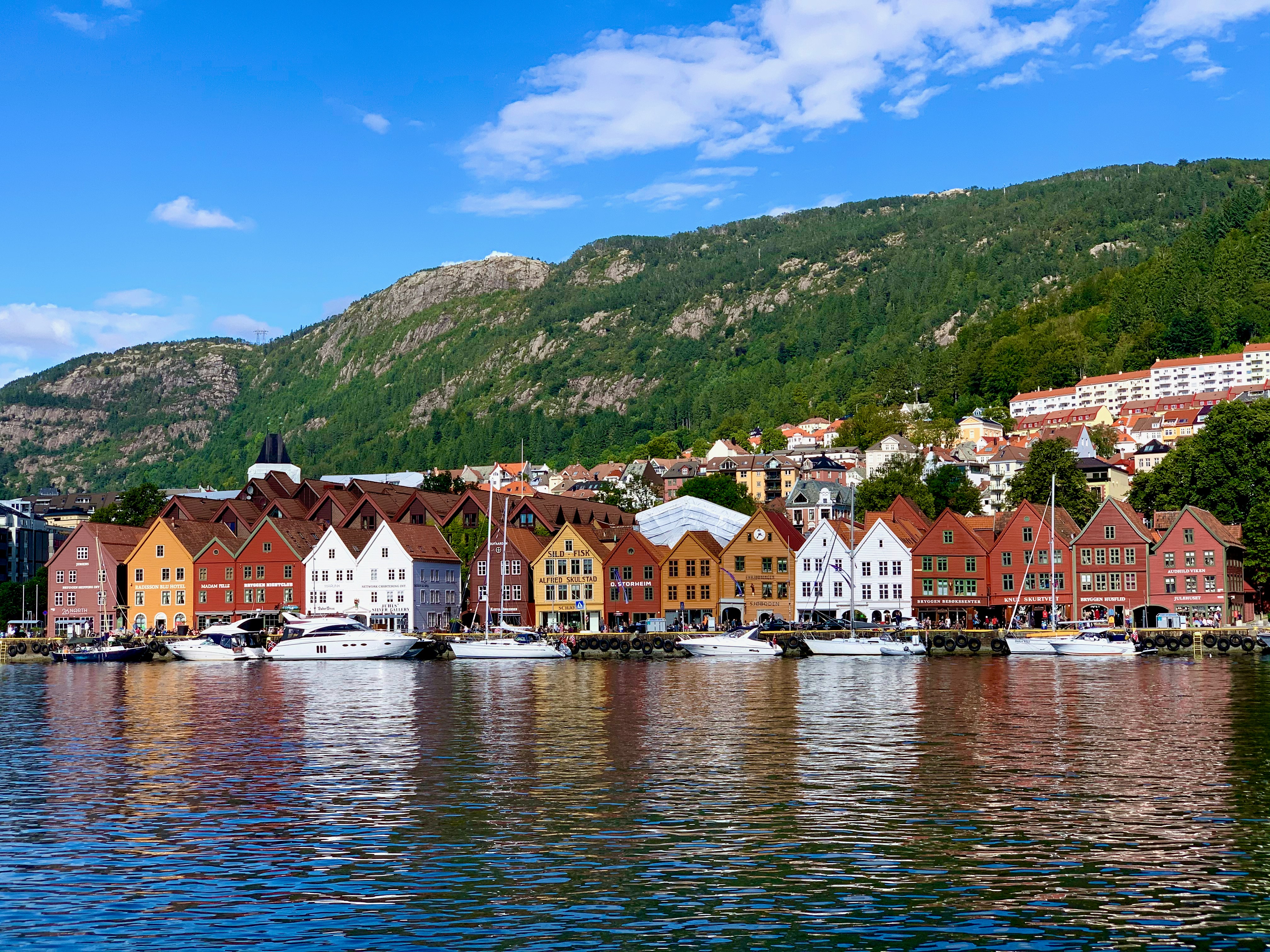 Bergen by Tell